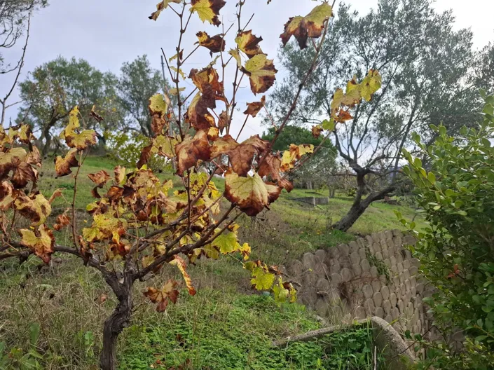 Image No.23-2 Bed Apartment for sale