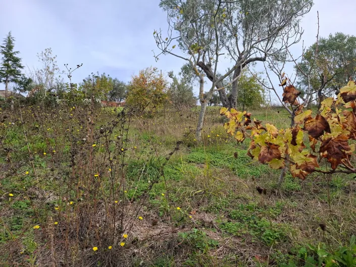 Image No.24-2 Bed Apartment for sale