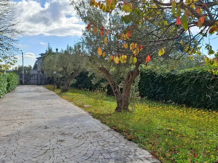 Image No.29-Villa de 4 chambres à vendre à Catanzaro