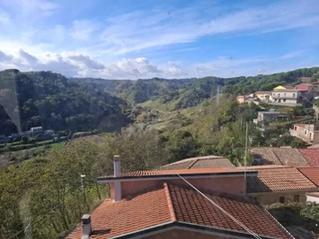 original20251111-12463569259f0b0d8e1jpg