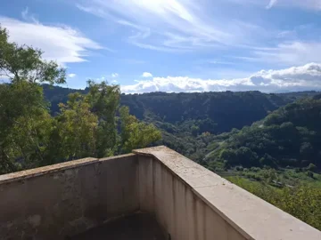 original20251111-12470269259f1062f68jpg