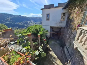 original20251111-12405869259edd9e4bcjpg