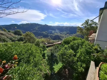 original20251111-12411469259eeeb1ea1jpg