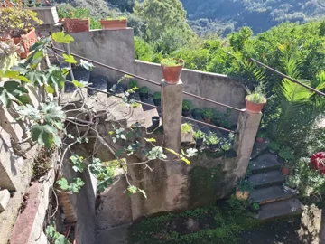 original20251111-12434569259f03cc7d9jpg