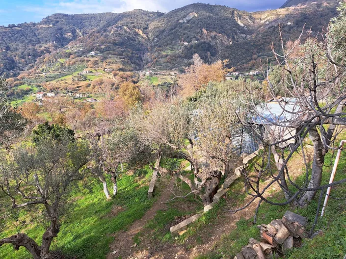 Image No.19-Maison de 3 chambres à vendre à Calabre