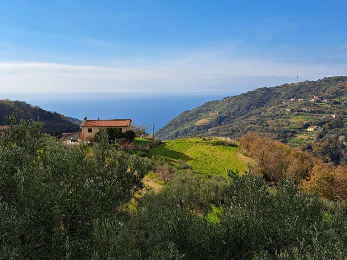 Image No.21-Maison de 3 chambres à vendre à Calabre