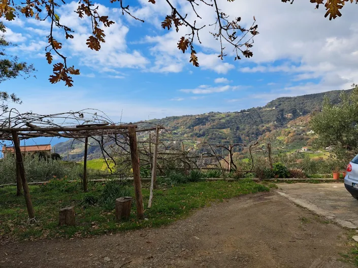 Image No.9-Maison de 3 chambres à vendre à Calabre