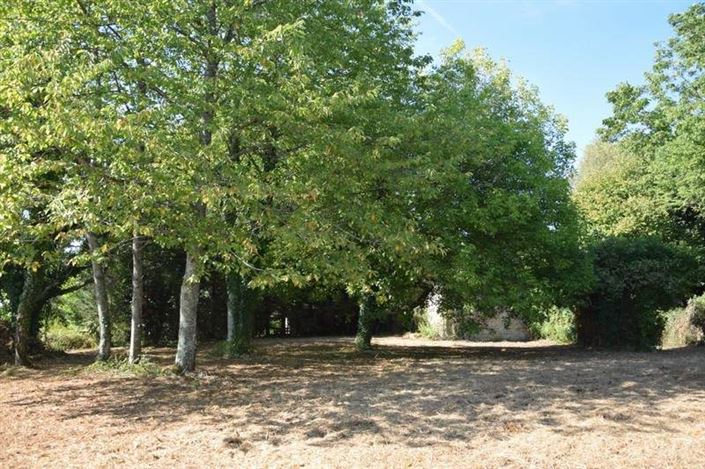 Image No.10-Grange à vendre à Vignols