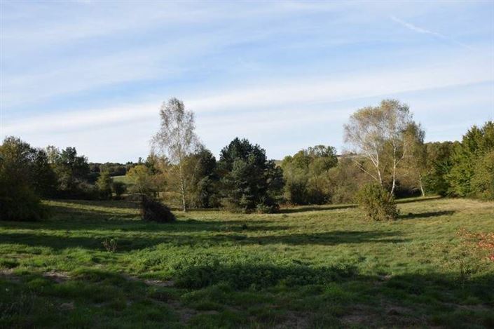 Image No.11-Propriété de pays de 2 chambres à vendre à Arnac-Pompadour