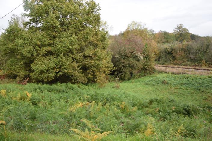 Image No.14-Maison de campagne de 3 chambres à vendre à Vignols
