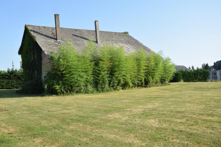 Image No.17-Ferme de 2 chambres à vendre à Arnac-Pompadour