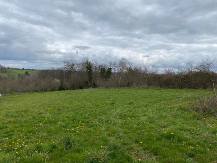 Image No.4-Maison / Villa de 4 chambres à vendre à Angoisse