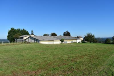 5703_limousin_property_agents_18_hectare_farm_montigbaud--2-