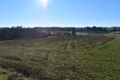 5751_limousin_property_agents_pompadour_farm_pasture_woodland--8-