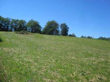 6002_berthou_immobilier_jumilhac_le_grand_fermette_puits_vue_terrain_bois--4-