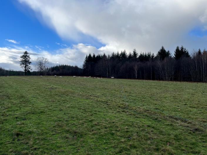 Image No.7-3 Bed Farmhouse for sale