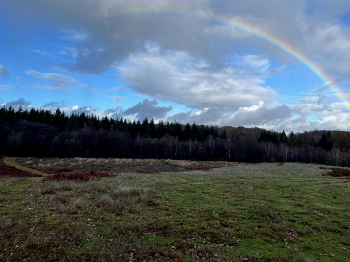 Image No.10-3 Bed Farmhouse for sale