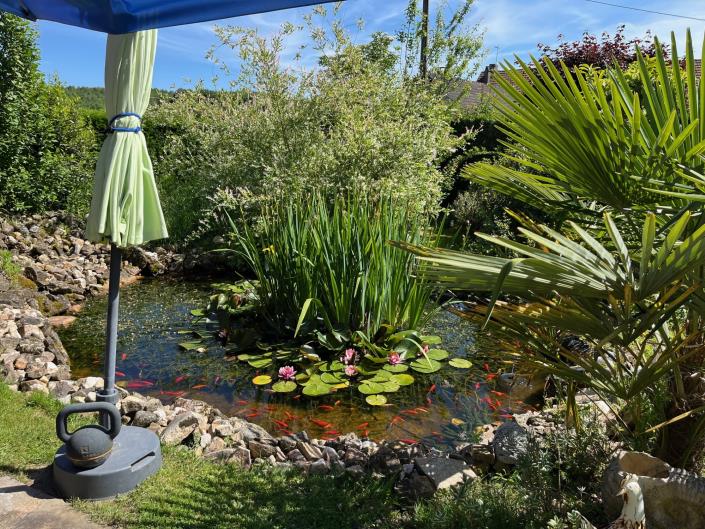 Image No.21-Propriété de pays de 4 chambres à vendre à Bussière-Galant