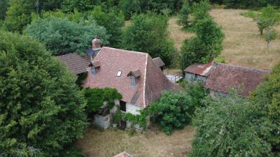 dji_fly_20260629_153624_37_1782740234035_photo_optimized