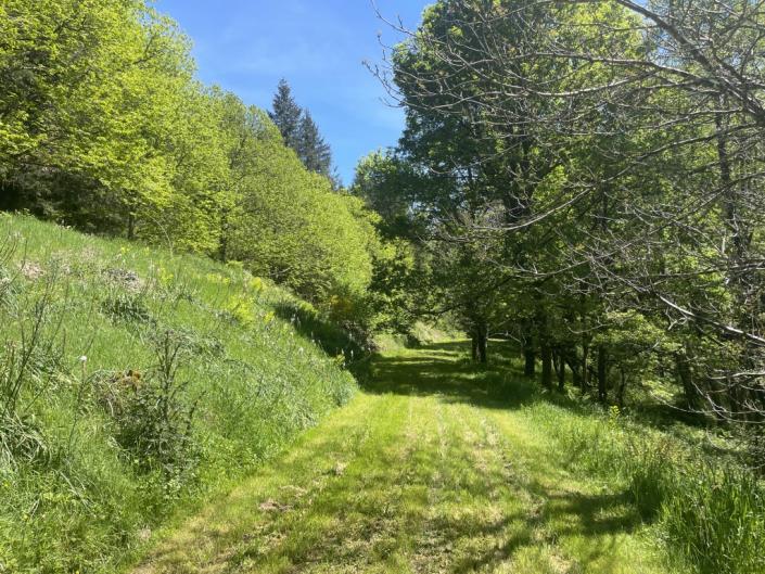 Image No.10-Maison de campagne de 3 chambres à vendre à Arnac-Pompadour