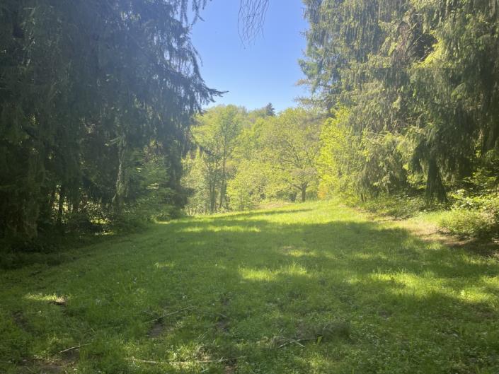 Image No.27-Maison de campagne de 3 chambres à vendre à Arnac-Pompadour