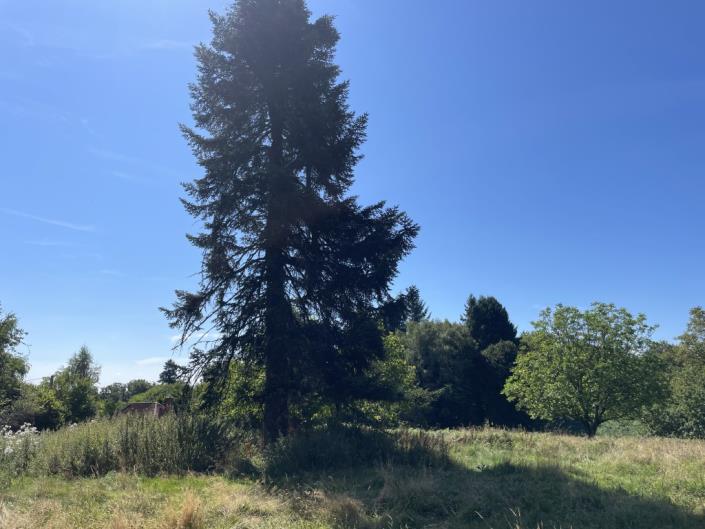 Image No.13-Grange de 3 chambres à vendre à Benayes