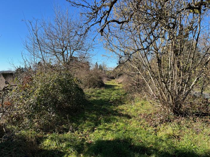 Image No.6-2 Bed Country Property for sale