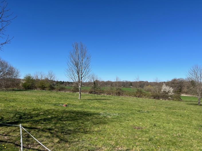 Image No.23-6 Bed Country Property for sale