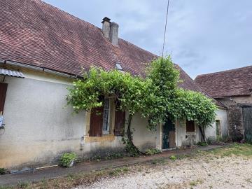 image11