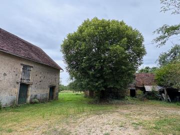image13