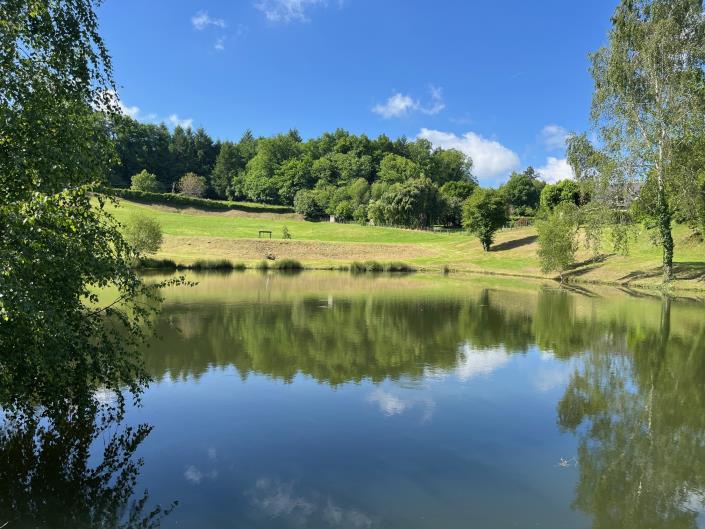 Image No.4-Terre à vendre à Coussac-Bonneval