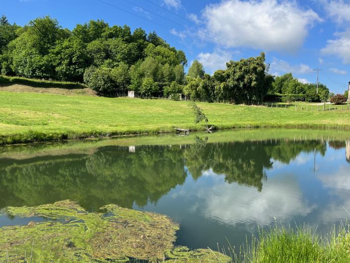 Image No.6-Terre à vendre à Coussac-Bonneval