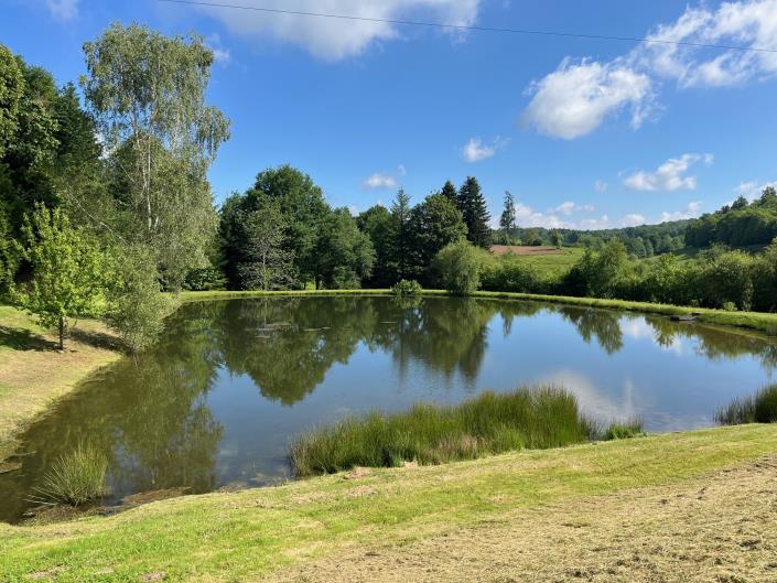 Image No.7-Terre à vendre à Coussac-Bonneval