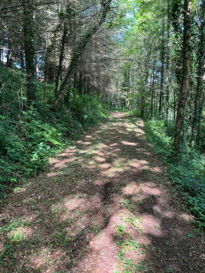 Image No.9-Terre à vendre à Coussac-Bonneval