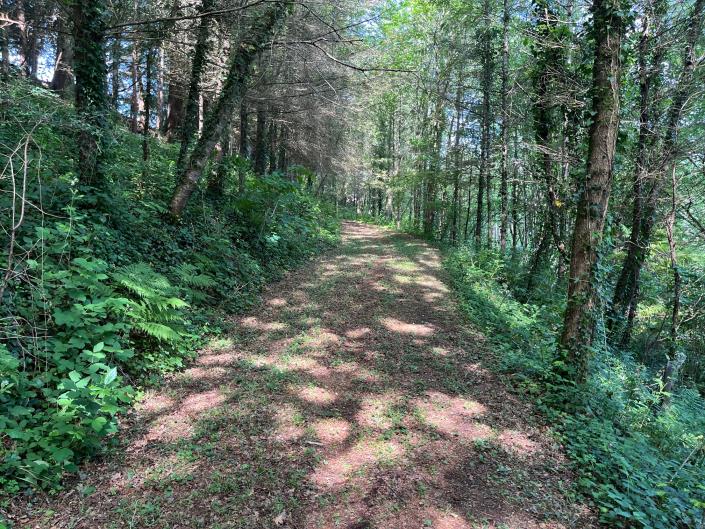 Image No.10-Terre à vendre à Coussac-Bonneval