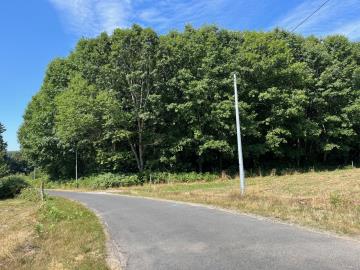 6423_immo_berthou_coussac_bonneval_bois--2-