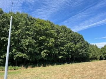 6423_immo_berthou_coussac_bonneval_bois--1-
