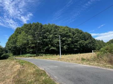 6423_immo_berthou_coussac_bonneval_bois--7-