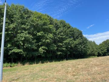 6423_immo_berthou_coussac_bonneval_bois--6-