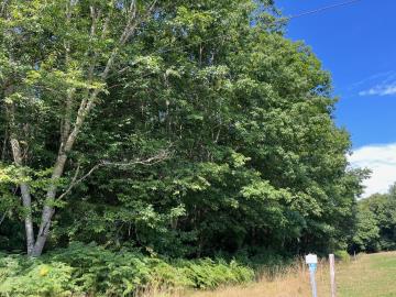 6423_immo_berthou_coussac_bonneval_bois--10-