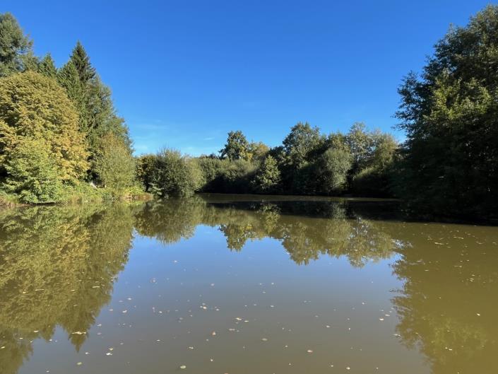 Image No.11-5 Bed Country Property for sale