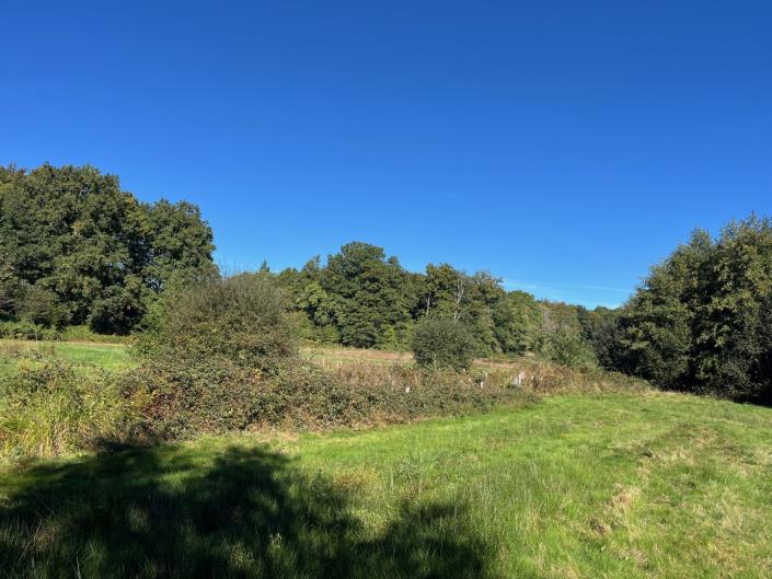 Image No.17-5 Bed Country Property for sale