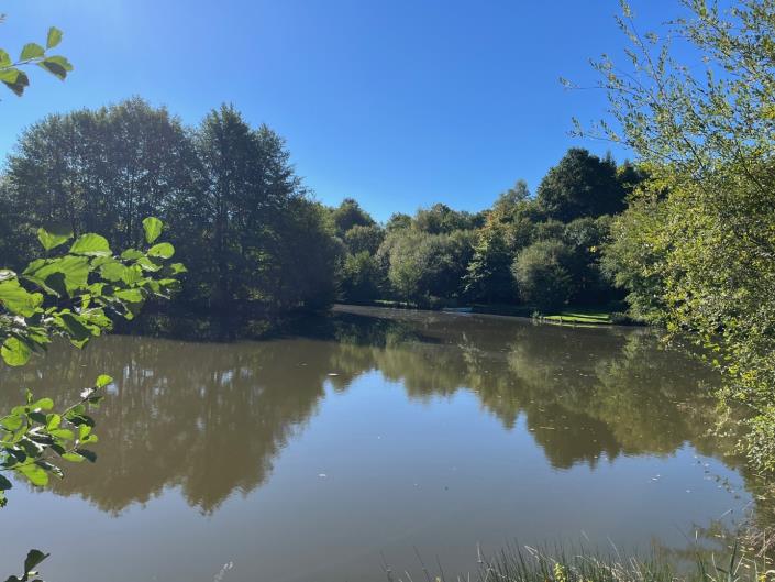 Image No.18-5 Bed Country Property for sale