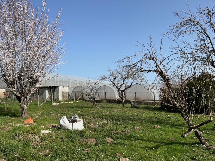 Image No.3-Maison de village de 3 chambres à vendre à Coussac-Bonneval