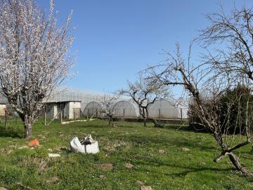 6532_immo_berthou_coussac_bonneval_maison_en_pierres_jardin--5-