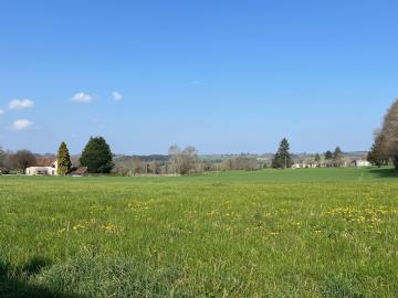 6568_berthou_immo_st_priest_les_fougeres_maison_3_pieces_terrain_dependance_bois_vue--10-