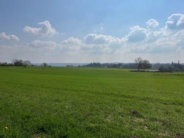 6568_berthou_immo_st_priest_les_fougeres_maison_3_pieces_terrain_dependance_bois_vue--28-