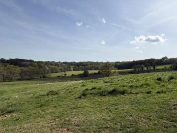 6579_immo_berthou_nexon_fermette_campagne_piscine_vues_terrain_grange_puits--3-