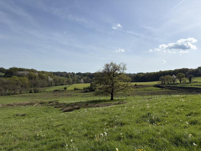 Image No.18-Propriété de pays de 3 chambres à vendre à Nexon
