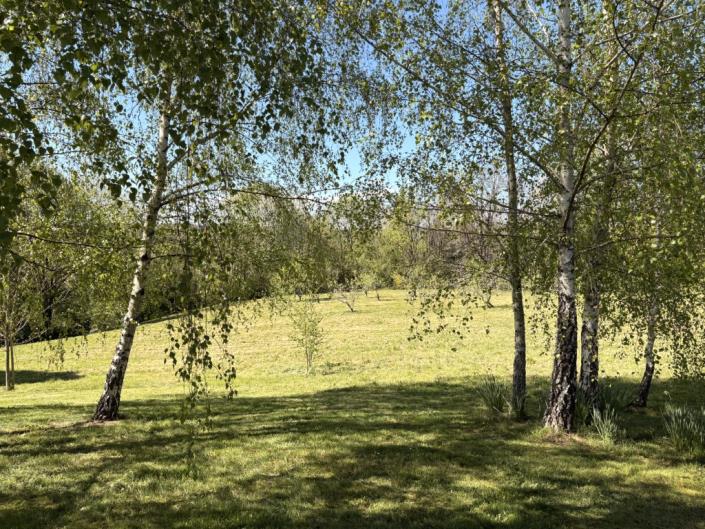 Image No.24-8 Bed Country Property for sale